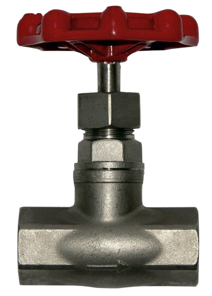 Globe Valve